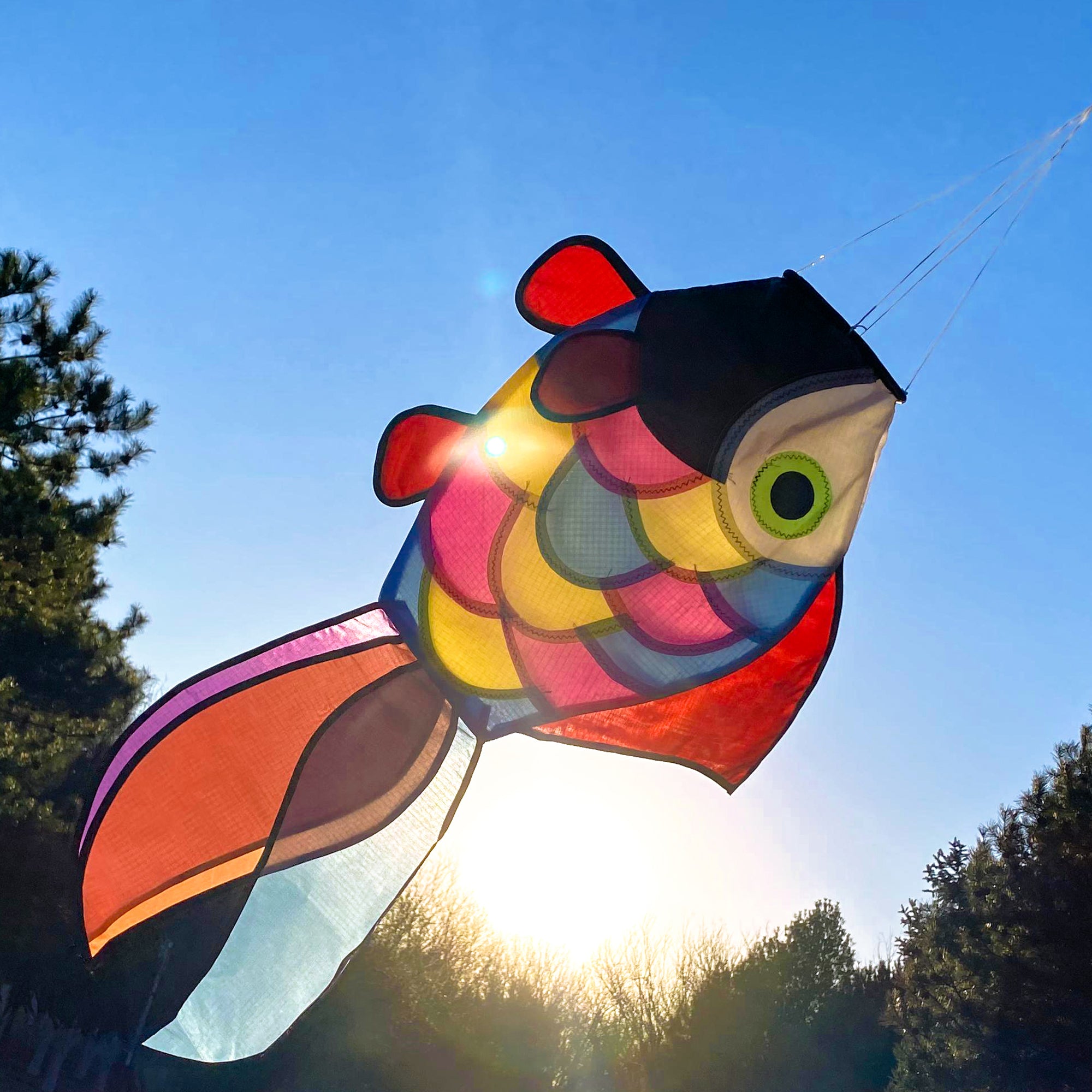 32 in Cute Rainbow Fish Windsock Spinner Spiral