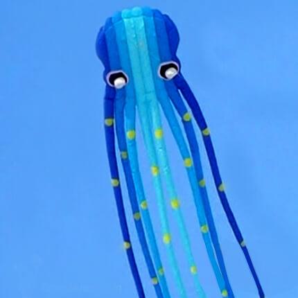 Light Blue Dark Blue Flying Octopus Kite
