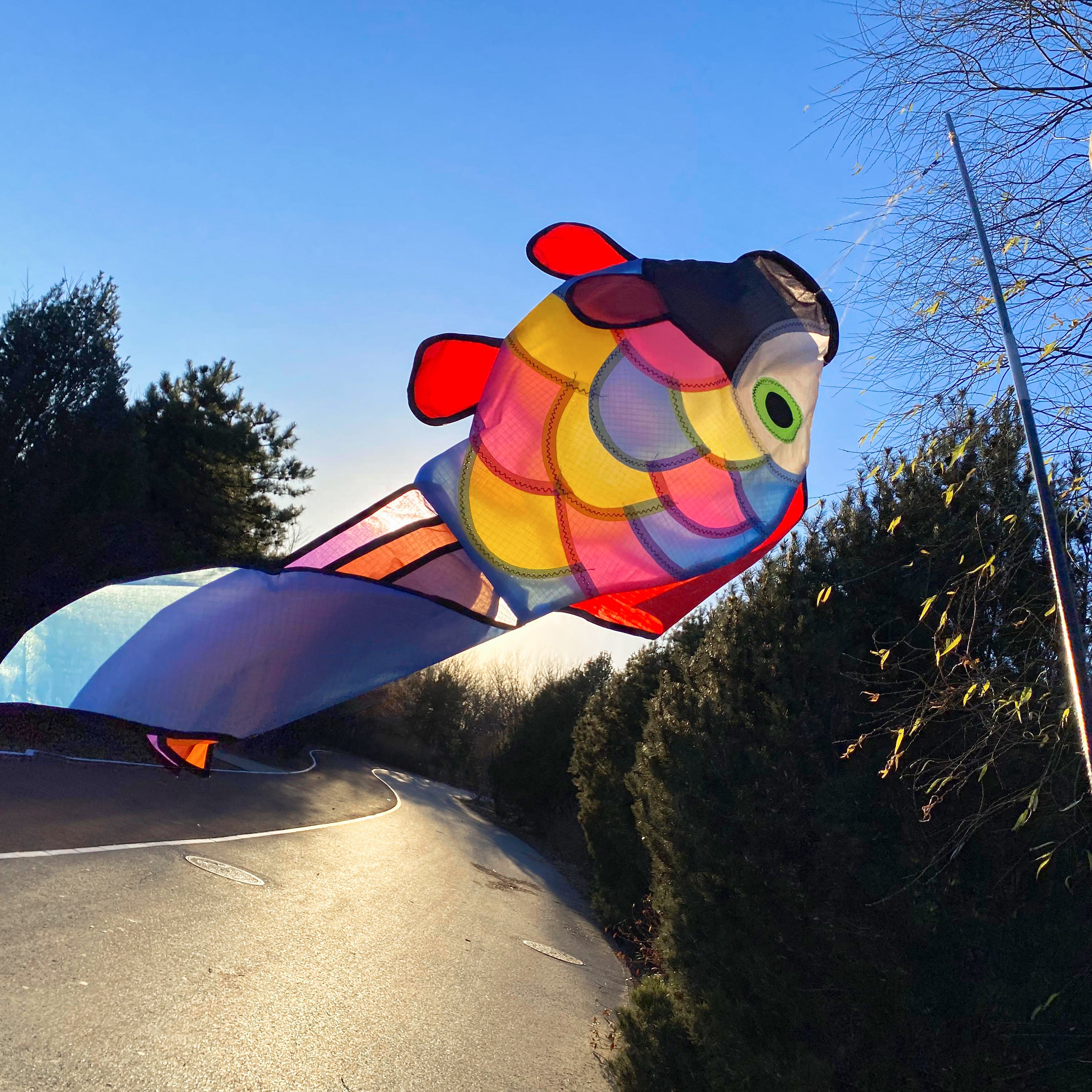 32 in Cute Rainbow Fish Windsock Spinner Spiral