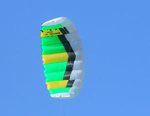 Green Basic Dual Line Traction Kite Details