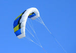 Flying Blue Basic Dual Line Traction Kite Sports Kite