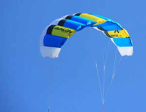 Blue Flying Basic Dual Line Traction Kite