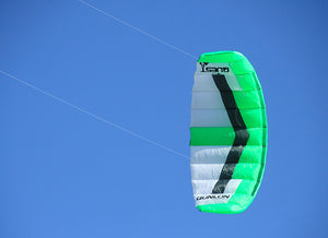 Flying Green Quest Dual Line Traction Kite