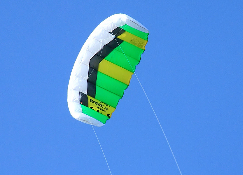 Flying Green Basic Dual Line Traction Kite Sports Kite