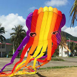 Colorful 49FCt 3D Tube-Shaped Parafoil Flame Octopus Kite