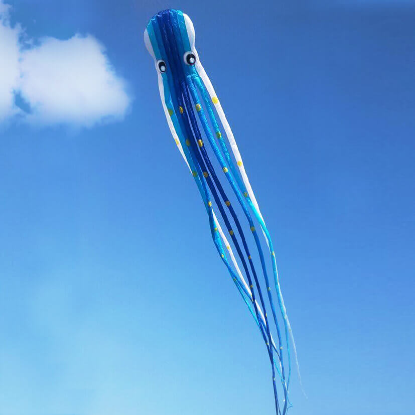 Cute Blue 3D 49ft Tube-Shaped Parafoil Octopus Kite