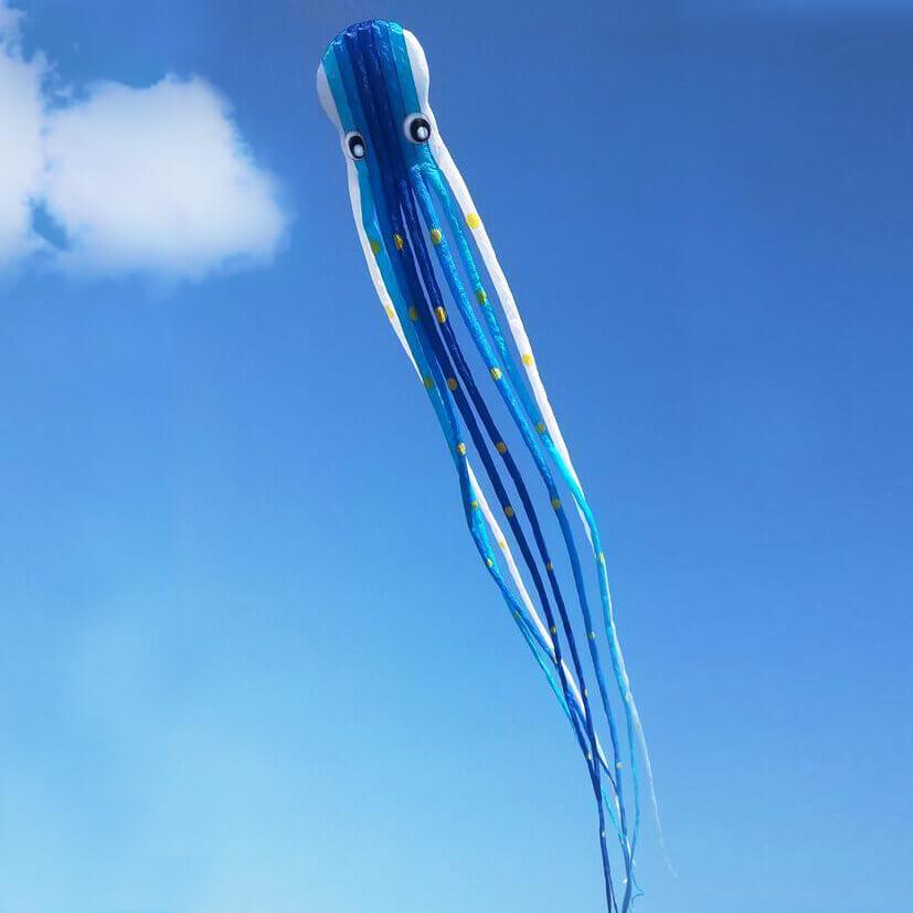 Blue 75ft Tube-Shaped Parafoil Octopus Kite