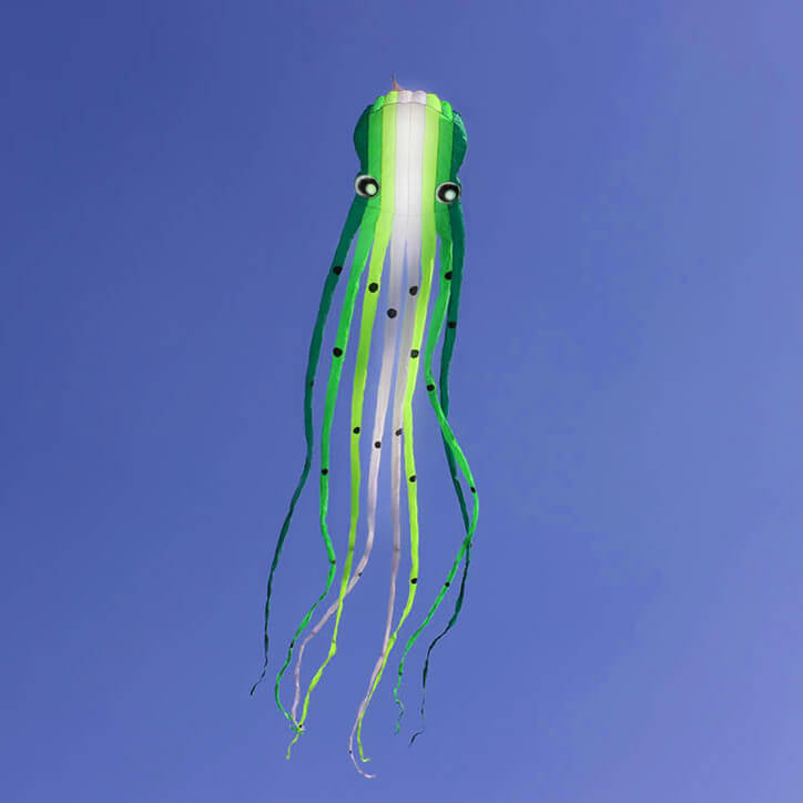 49ft White Green Tube-Shaped Parafoil Octopus Kite