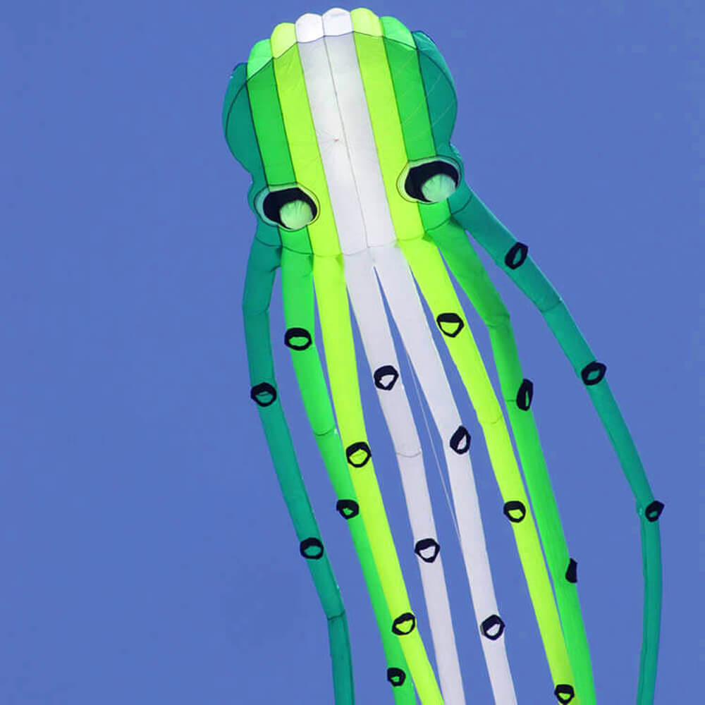 Green 3D 75ft Tube-Shaped Parafoil Octopus Kite Flying