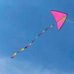 Fun Color Delta Kite - 5Ft