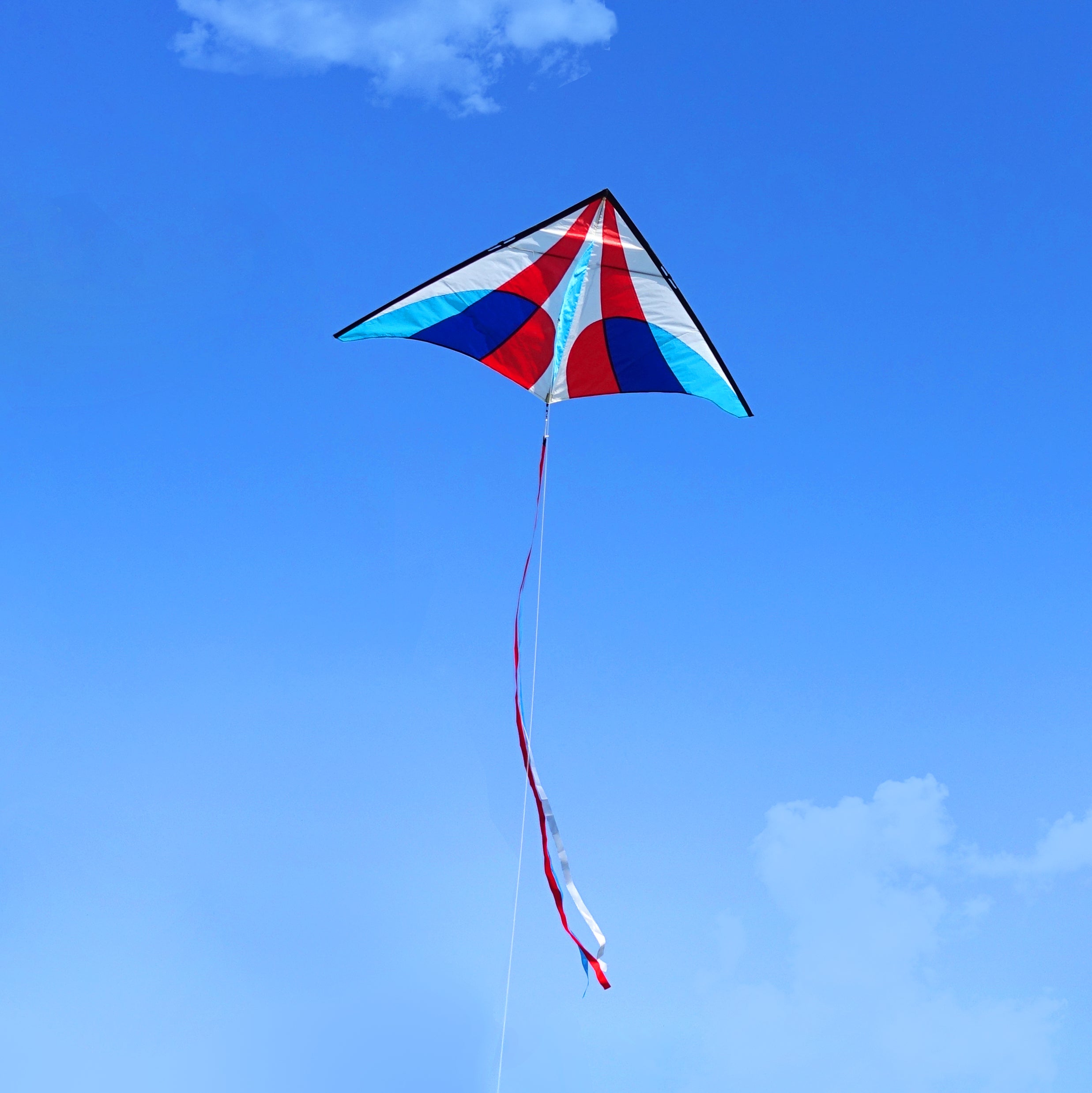  Customer reviews: emma kites Holiday Delta Kite 60-in Kite for  All Beginner Kite Easy to Fly Simple to Assemble Fun Activities for Kids  and Adults to Enjoy Outings at Beach Park (