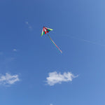 Holiday Delta Kite - 5Ft