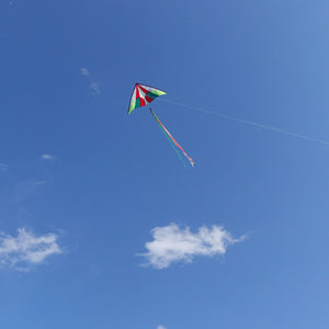 Holiday Delta Kite - 5Ft