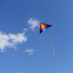 Holiday Delta Kite - 5Ft