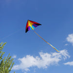 Holiday Delta Kite - 5Ft