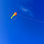 Mermaid Delta Kite - 60in