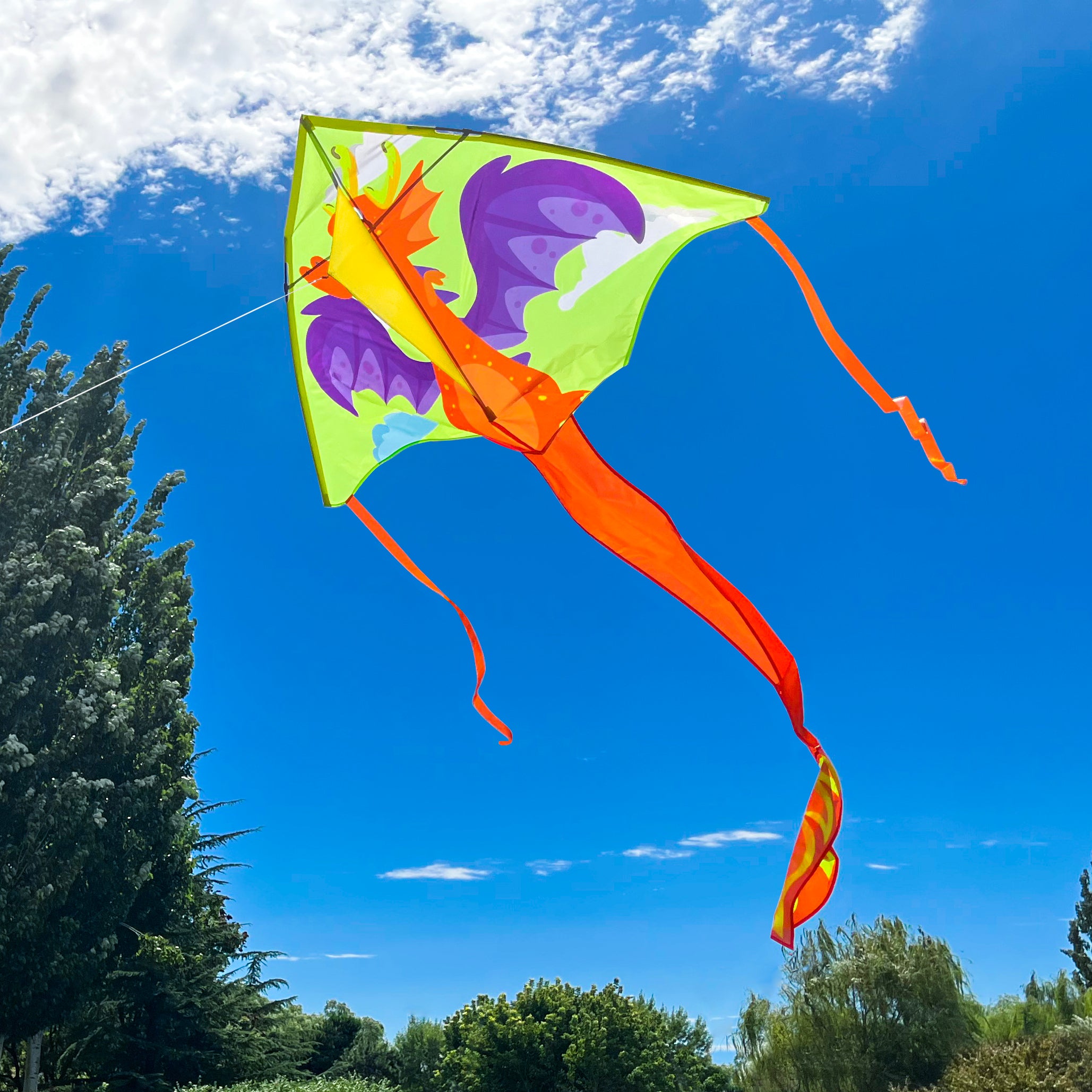 Dragon Delta Kite - 60in