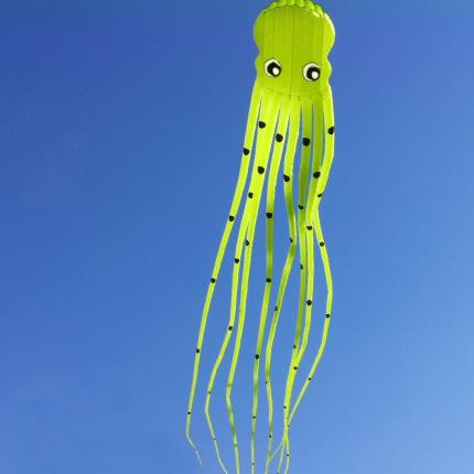 Light green 75ft Tube-Shaped Parafoil Octopus Kite