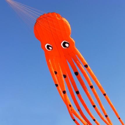 Orange 98ft Tube-Shaped Parafoil Octopus Kite Waving