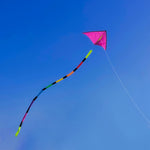 emma kites 21Ft Rainbow Kite Tube Tail