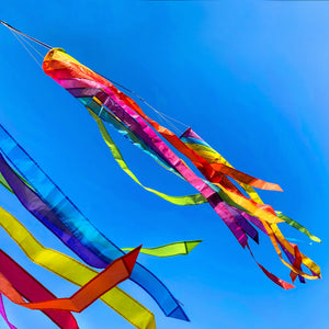 emma kites 60in Rainbow Spiral Windsock 8 Bright Colors Spinner Garden Decor