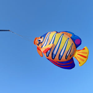 30 inch Royal Angelfish Windsock