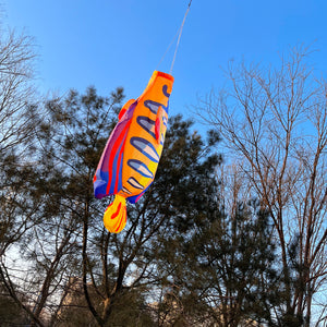 30 inch Royal Angelfish Windsock