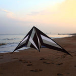 FALCON Dual Line Stunt Kite - 250cm