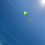 Fun Color Delta Kite - 5Ft