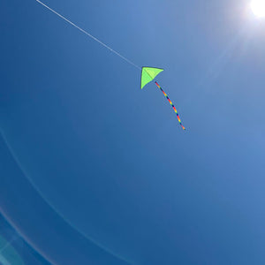 Fun Color Delta Kite - 5Ft