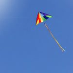Holiday Delta Kite - 5Ft