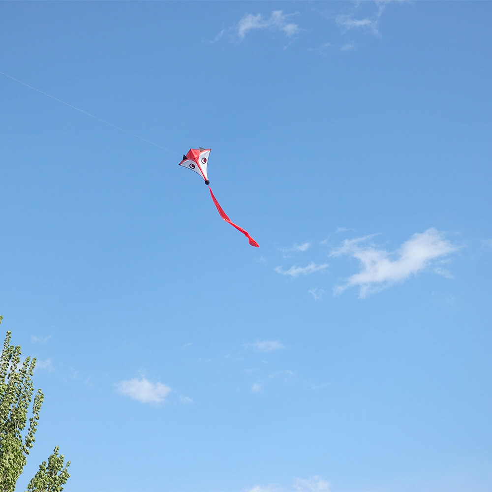 Diamond Kite Mr. Fox 32-Inch