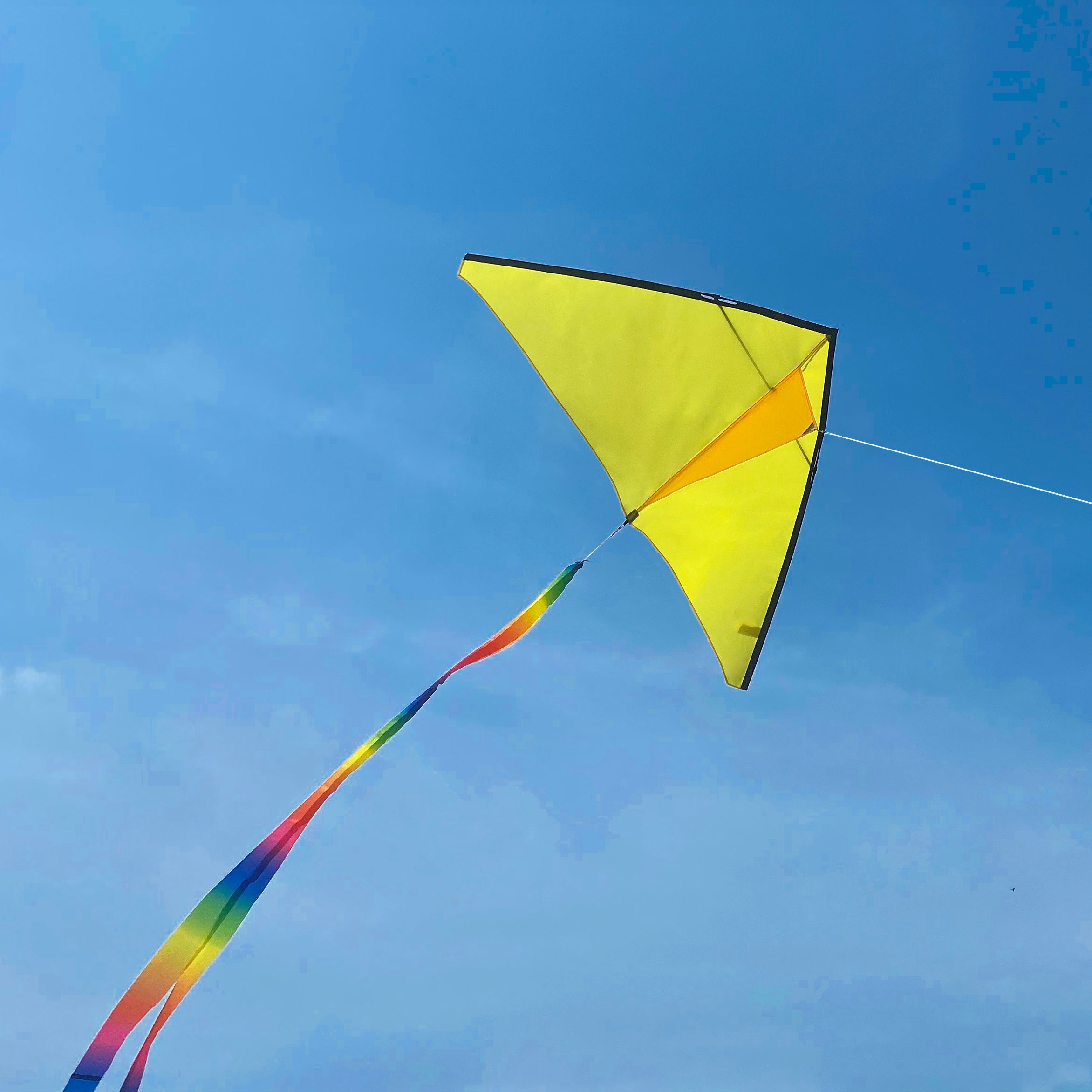 Fun Color Delta Kite - 5Ft