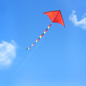 Fun Color Delta Kite - 5Ft