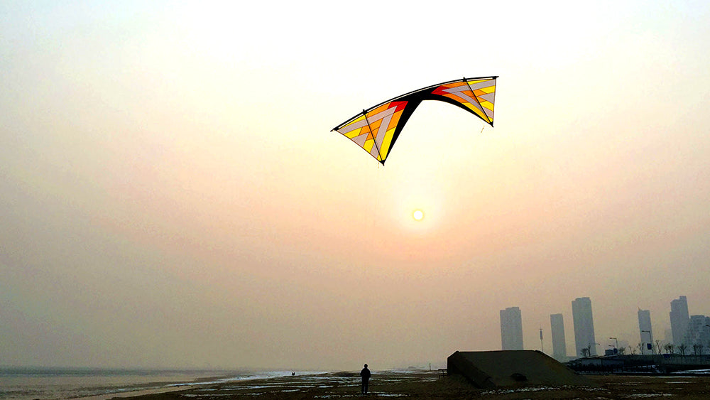 Flying Windrider Ⅱ Ⅹ Quad Line Stunt Kite