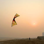 Professional Windrider Ⅱ Ⅹ Quad Line Stunt Kite